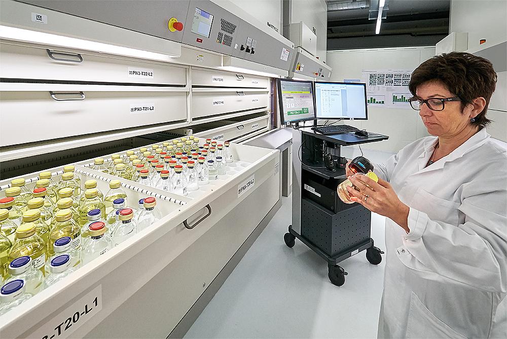 sektor medyczny leki apteki szpitale